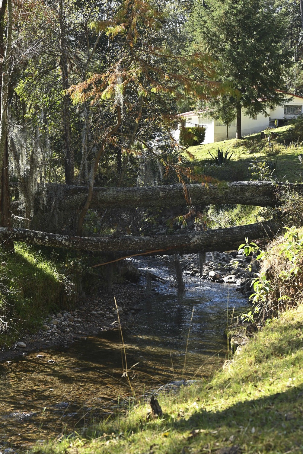 Recorrido ATAT (cabañas)028