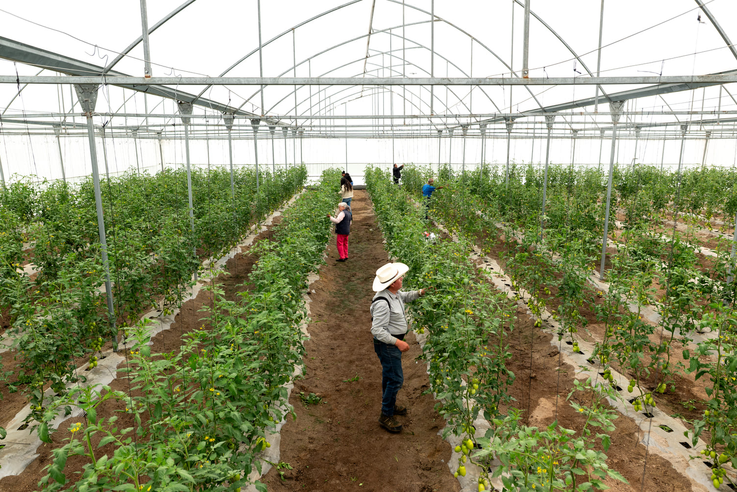 Invernadero ATAT (Aleatica)20250620_0035