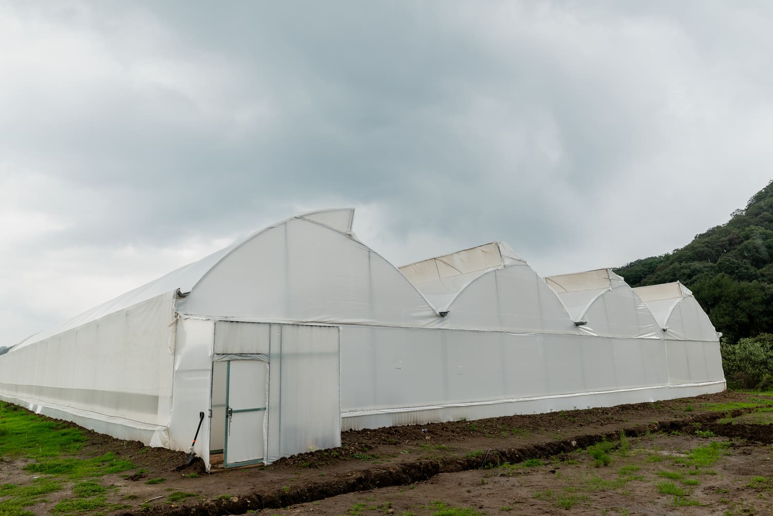 Invernadero ATAT (Aleatica)20250620_0055 (1)