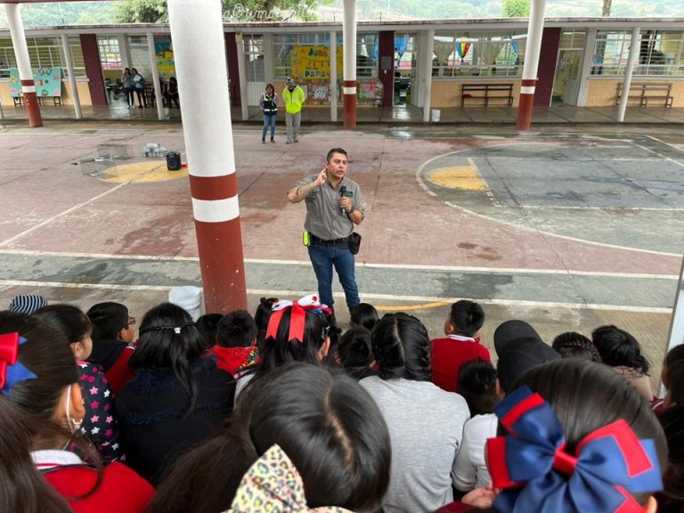 WhatsApp Image 2025-08-19 at 16.38.08