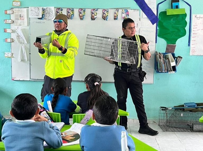 WhatsApp Image 2025-08-19 at 16.38.19