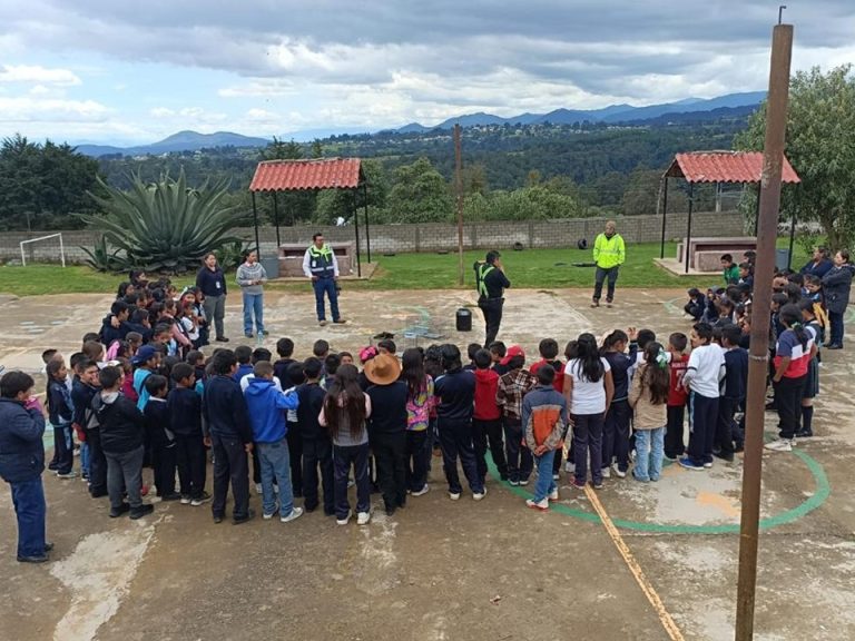 WhatsApp Image 2025-08-19 at 16.38.20 (1)