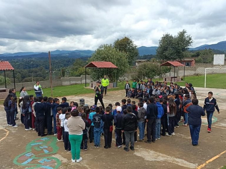 WhatsApp Image 2025-08-19 at 16.38.20