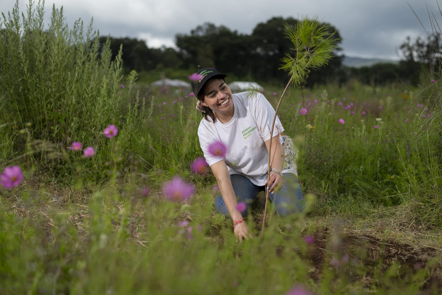 reforestación (1) (1)